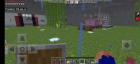 Screenshot_2021-12-10-10-05-52-717_com.mojang.minecraftpe.jpg