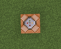 Screenshot_20211213-201044_Minecraft.jpg
