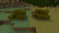 Minecraft 12_15_2021 10_29_00 PM.png