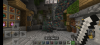 Screenshot_20211222-235826_Minecraft.jpg