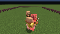 20w22a(4).png