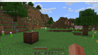 Minecraft Sound of Music in Meadow.png