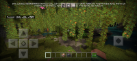 Screenshot_2022-01-28-17-18-14-612_com.mojang.minecraftpe-1.jpg