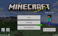 Screenshot_2022-02-01-17-04-32-881_com.mojang.minecraftpe.jpg