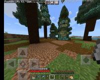 Screenshot_20220204-092552_Minecraft.jpg