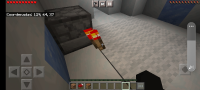 Bug of Minecraft.jpg
