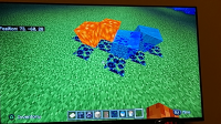 20220211_194556.jpg