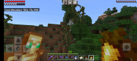 Screenshot_20220211-153758_Minecraft.jpg