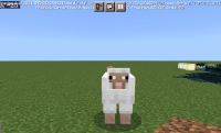 A15BAB8F-9801-454C-B4D5-5F2D3FA76F1E.jpeg