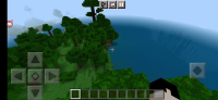 Screenshot_2022-03-06-17-25-49-275_com.mojang.minecraftpe.jpg