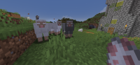 sheep.png