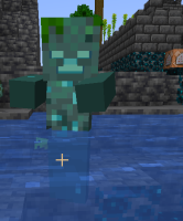 unknown.png