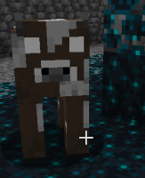 unknown.png