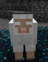 unknown.png