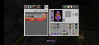Screenshot_20220318_193050_com.mojang.minecraftpe.jpg