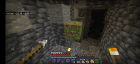 Screenshot_20220318_193039_com.mojang.minecraftpe.jpg