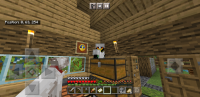 Screenshot_20220326-192101_Minecraft.jpg