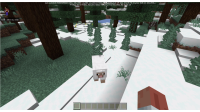 MCPE-153390_2.png