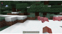 MCPE-153390_4.png