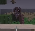 Screenshot_20220401_124151.jpg