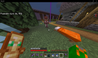 Minecraft 5_04_2022 17_41_45.png