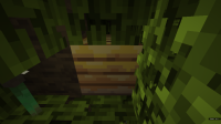 2022-04-07_08.58.06.png