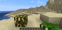 image_2022-04-13_194519712-1.png