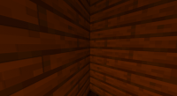 No Shadow First Person.png