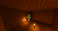 Shadow Picture.png