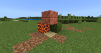 setup.png