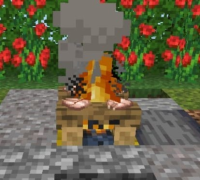 bug_lagerfeuer.jpeg