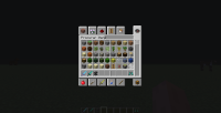 MinecraftBug.png