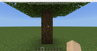 Minecraft Preview v1.19.27 with 60fps.png