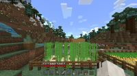 Screenshot_20220429-155415.jpg