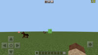 Screenshot_20220501-091731161.jpg
