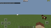 Screenshot_20220501-091719683.jpg