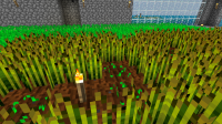 Minecraft 5_1_2022 6_49_34 PM.png