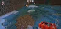 Screenshot_20220505-200939_Minecraft.jpg