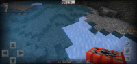 Screenshot_20220505-200951_Minecraft.jpg