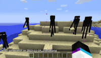 bug-enderman (4).png