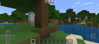 Screenshot_2022-05-20-10-48-16-800_com.mojang.minecraftpe.jpg