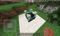 Screenshot_20220529-172546_Minecraft.jpg