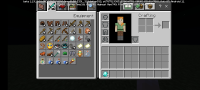 Screenshot_2022-06-03-23-17-17-237_com.mojang.minecraftpe.jpg