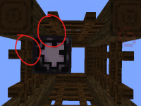 cage1.png