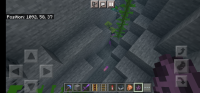Screenshot_20220610-091855_Minecraft.jpg