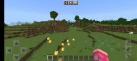 Screenshot_20220613-175914_Minecraft.jpg