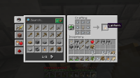 Minecraft Screenshot 2022.06.19 - 10.15.36.82.png
