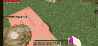 Screenshot_20220621-090834_Minecraft.jpg