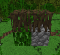 Screenshot 2022-06-26 122023.png