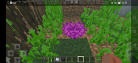 Screenshot_20220702_192140.jpg